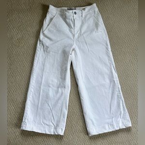 Everlane Wide Leg Crop Pant